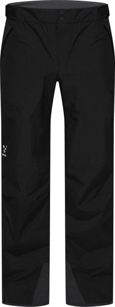 Alpine GTX Pant Men
