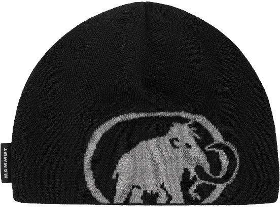 Tweak Beanie