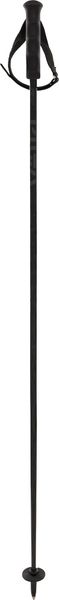 Speedstick Carbon Poles