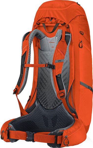 Paragon 48 Small/Medium