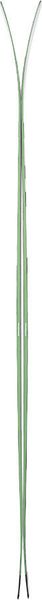 Helio Carbon 115 Skis