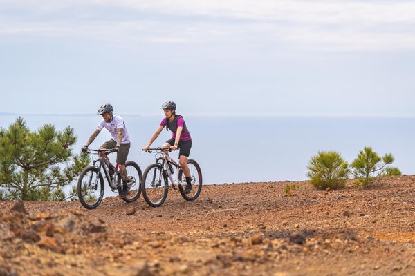 X-trail Plus Woman