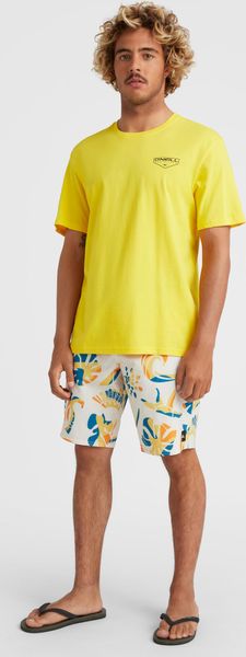 Mysto 20'' Boardshorts