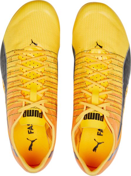 Evospeed Tokyo Brush 4