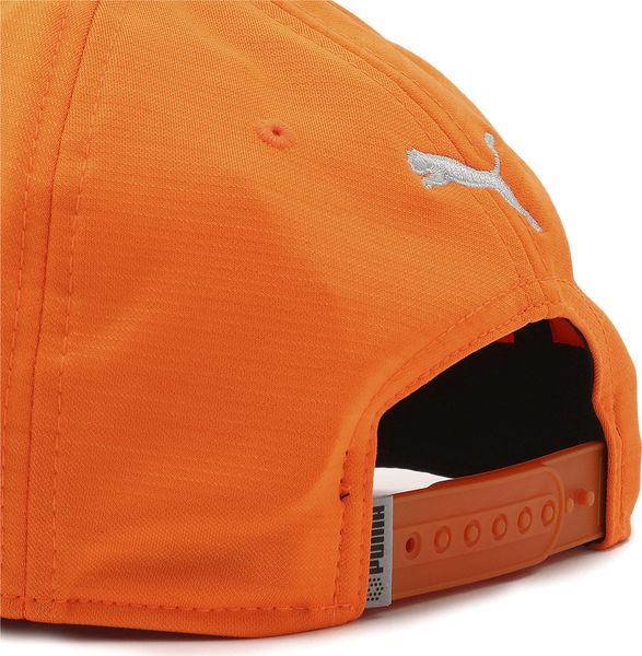P 110 Cap