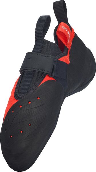 Shoe Leopard II