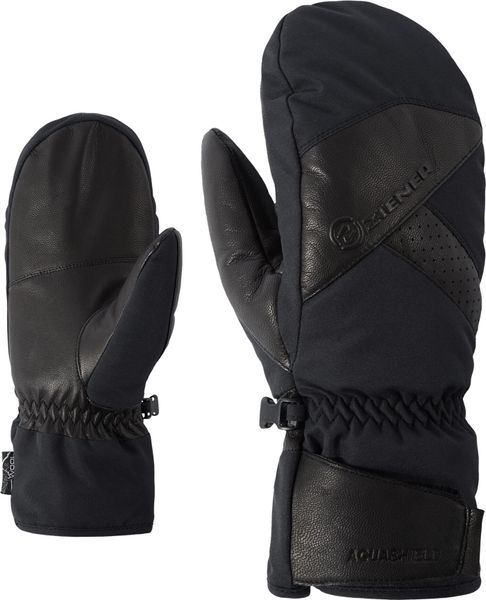 Gettero ASR AW Mitten Glove Ski Alpine