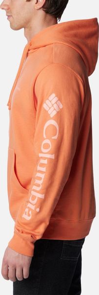 Viewmont II Sleeve Graphic Hoodie