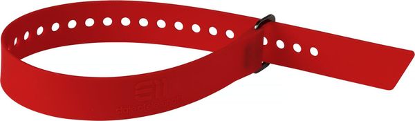 Ski Strap