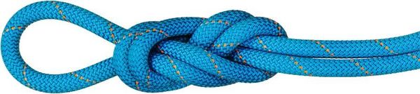 9.9 Gym Workhorse Dry Rope