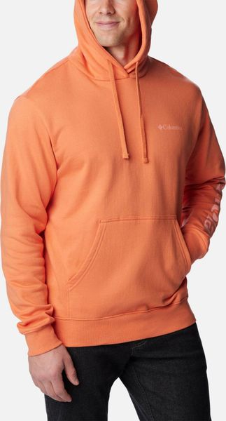 Viewmont II Sleeve Graphic Hoodie