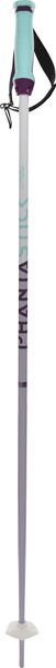 Phantastick W Purple Poles