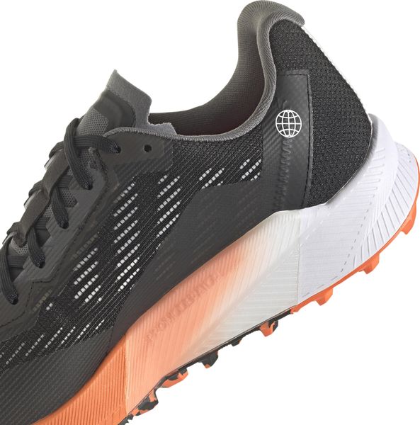 Agravic Flow 2 Gore-tex Trail Running Shoes