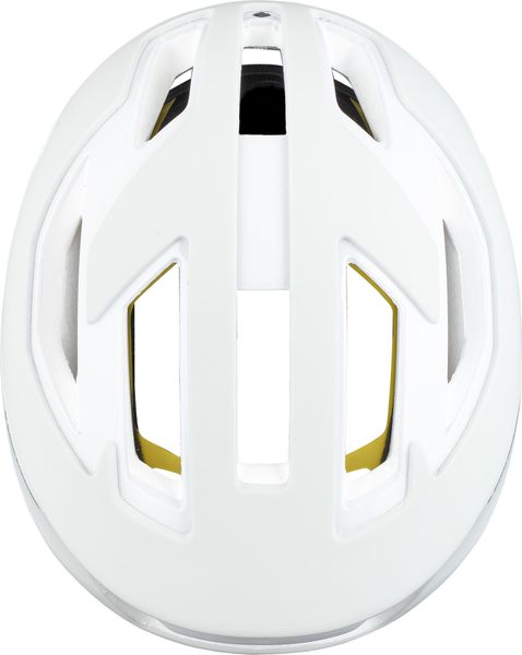 Falconer II Helmet