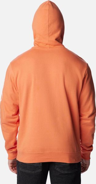 Viewmont II Sleeve Graphic Hoodie