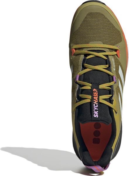 Terrex Skychaser Gore-tex 2.0 Hiking Shoes