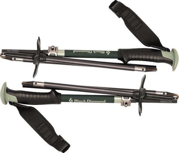 Compactor Ski Poles