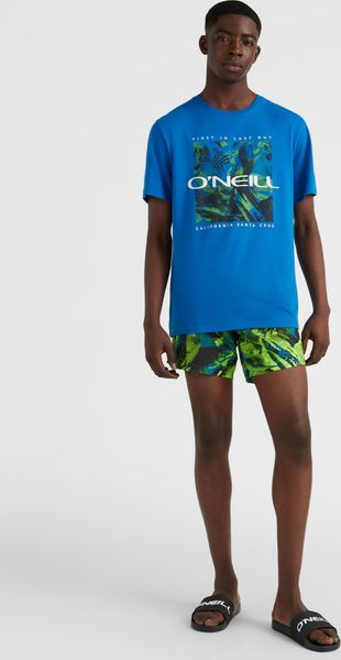 Cali Crazy 16'' Swim Shorts