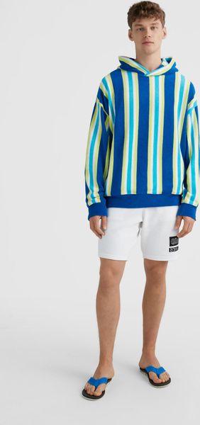 Brights Terry Hoodie