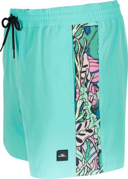 Coast Ocean 15'' Swim Shorts