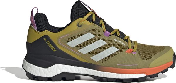 Terrex Skychaser Gore-tex 2.0 Hiking Shoes