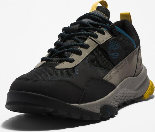 Mens Low Lace UP GTX Hiking Boot