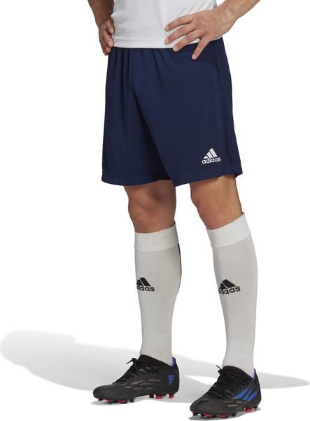 Entrada 22 Training Shorts