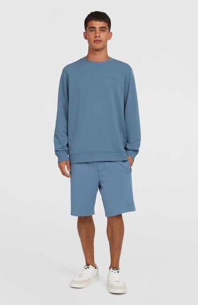 O'neill Small Logo Crew