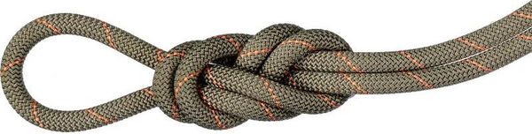 9.9 Gym Workhorse Classic Rope