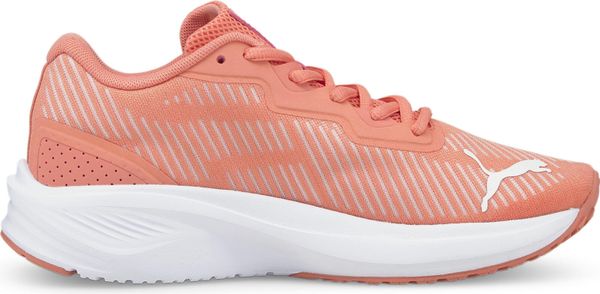 Aviator Profoam Sky