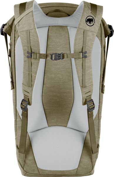 Xeron Courier 25