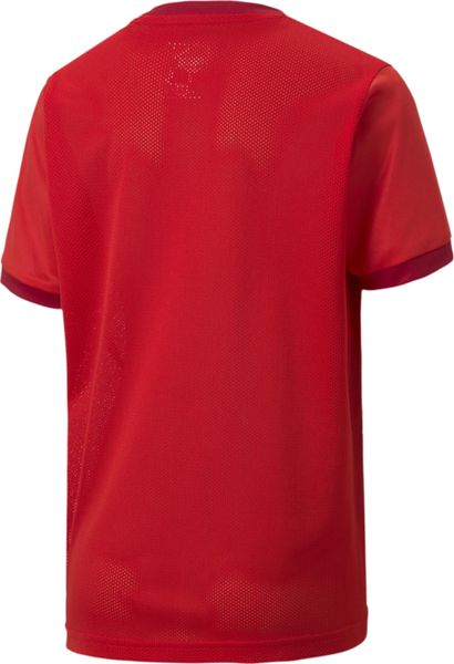 Teamgoal 23 Jersey jr