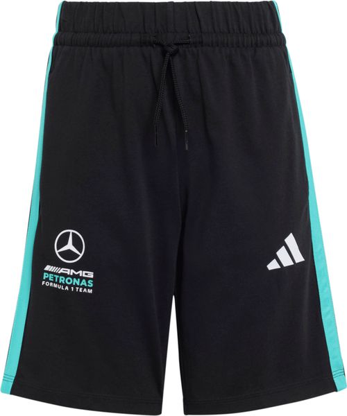 Mercedes - AMG Petronas Formula 1 Team DNA Shorts