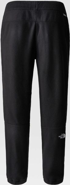 Mens 100 Glacier Pant