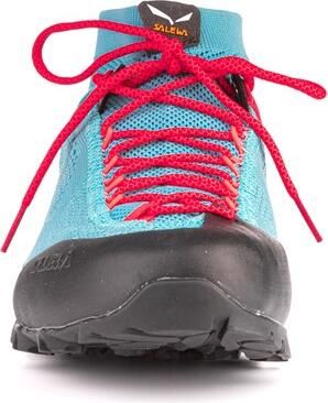 WS Alpenviolet K
