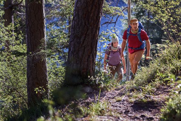Merino Lightweight