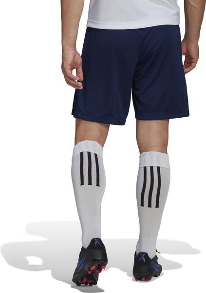 Entrada 22 Training Shorts