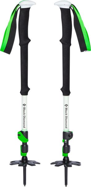 Expedition 3 Ski Poles
