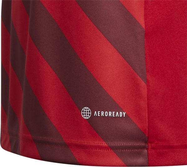 Entrada 22 Graphic Jersey