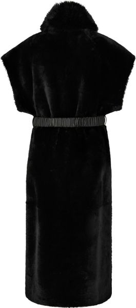 Xenia-l
