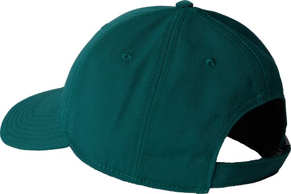 Recycled 66 Classic Hat