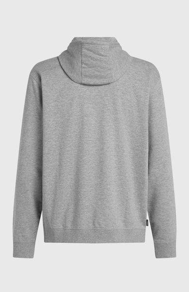 O'neill Small Logo Hoodie