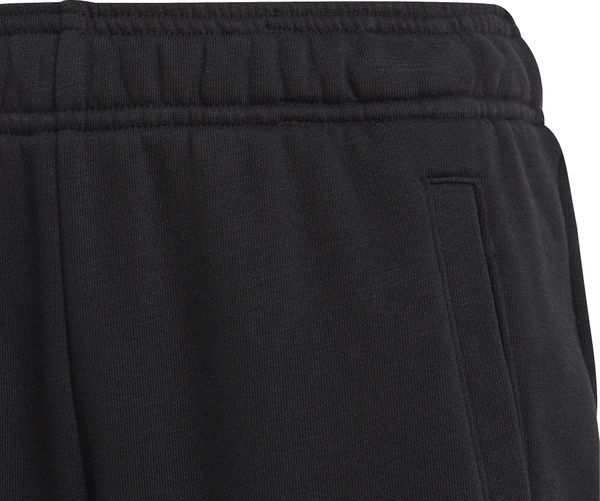 Unisex Essentials Big Logo Cotton Pant Regular Fit