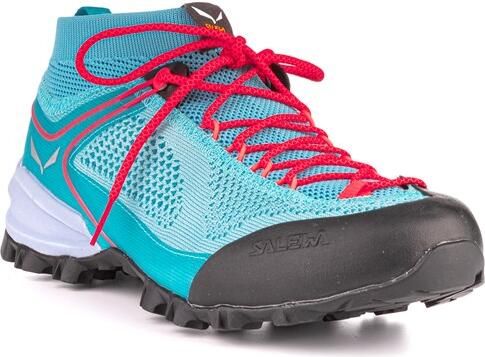 WS Alpenviolet K