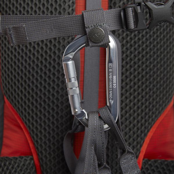 Torne Ice Light 25L