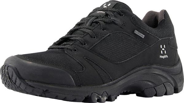 Ridge Synthetic GTX Low Women