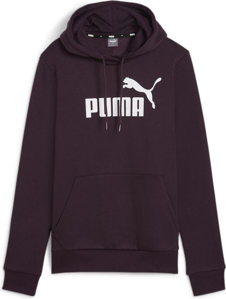Essentials Logo Hoodie FL (s)