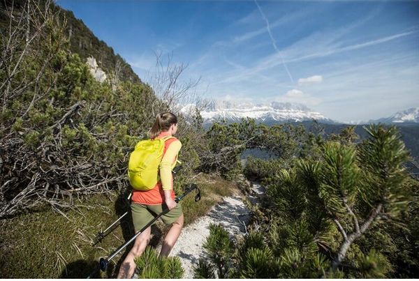 Carbonium ALP Speed Poles