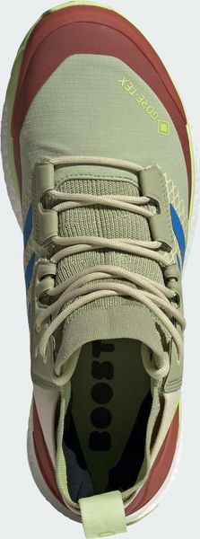 Terrex Free Hiker Gore-tex Hiking Shoes