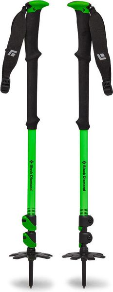 Expedition WR 3 Ski Poles